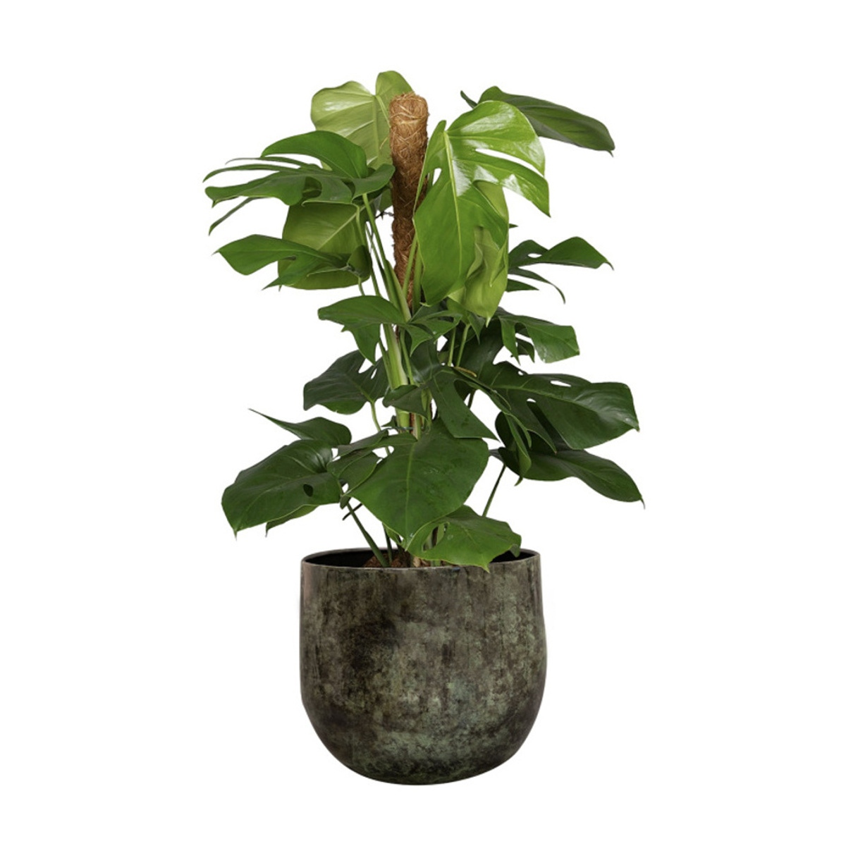 Obal na květináč EMMIE kovový zelený 19cm-0