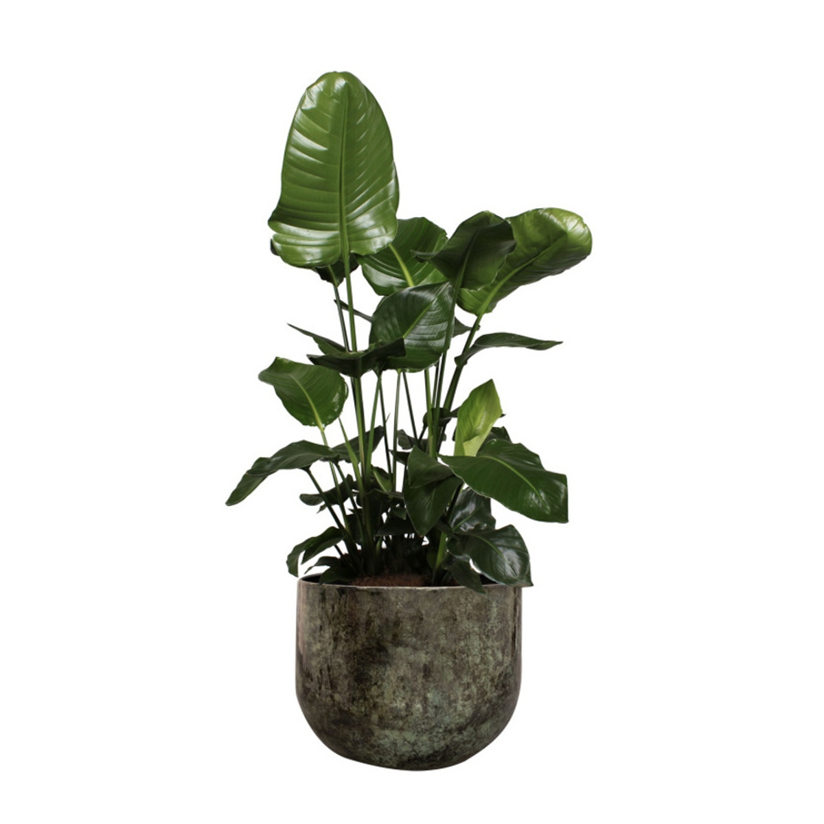 Obal na květináč EMMIE kovový zelený 23cm-0