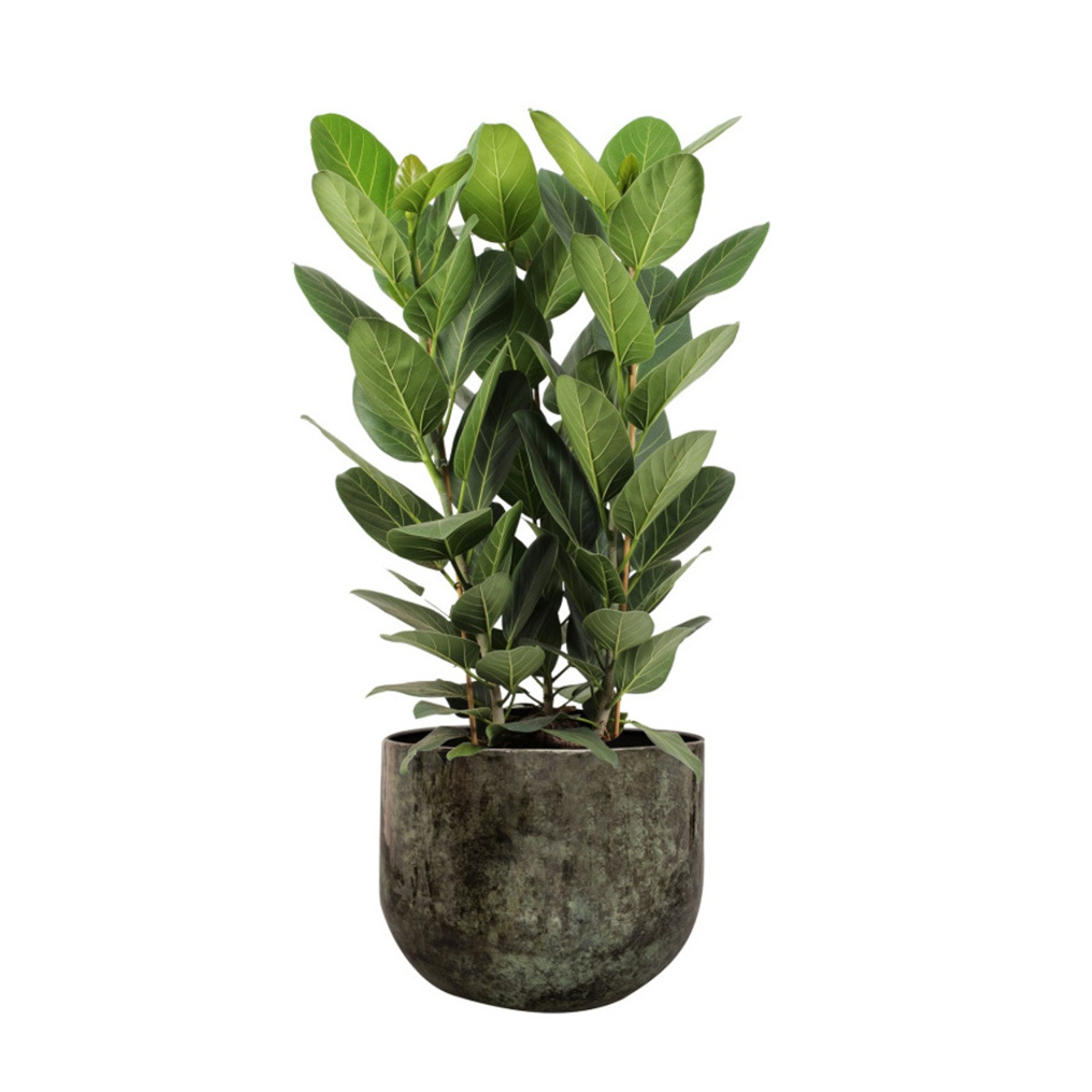 Obal na květináč EMMIE kovový zelený 31cm-0