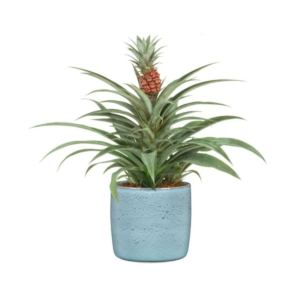 Obal na květináč keramický LAGOON 21cm-0