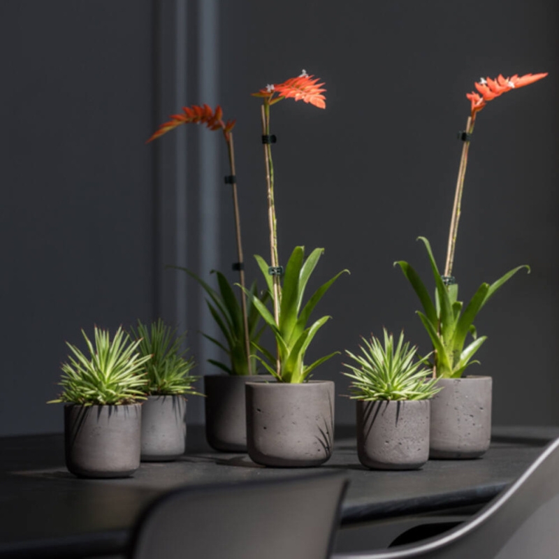 Obal na květináč kulatý CHARLIE L fiberclay černý 25cm-0