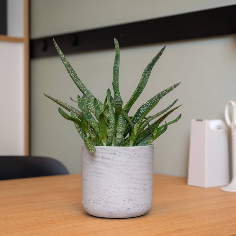 Obal na květináč kulatý CHARLIE L fiberclay sv.šedý 25cm-0