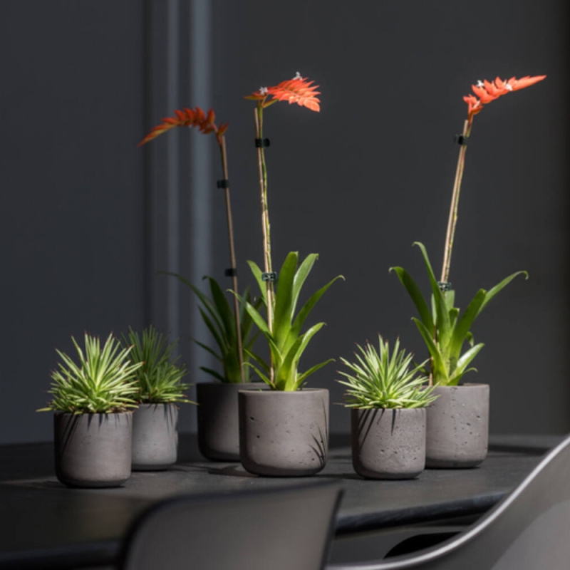 Obal na květináč kulatý CHARLIE M fiberclay černý 18cm-0