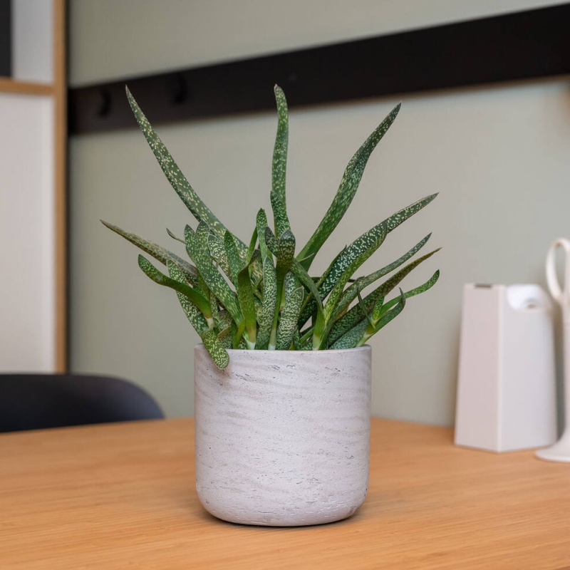 Obal na květináč kulatý CHARLIE M fiberclay sv.šedý 18cm-0