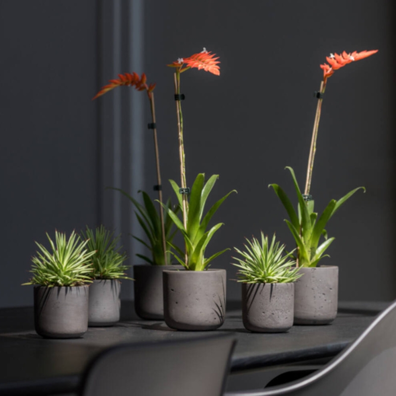 Obal na květináč kulatý CHARLIE S fiberclay černý 15cm-0