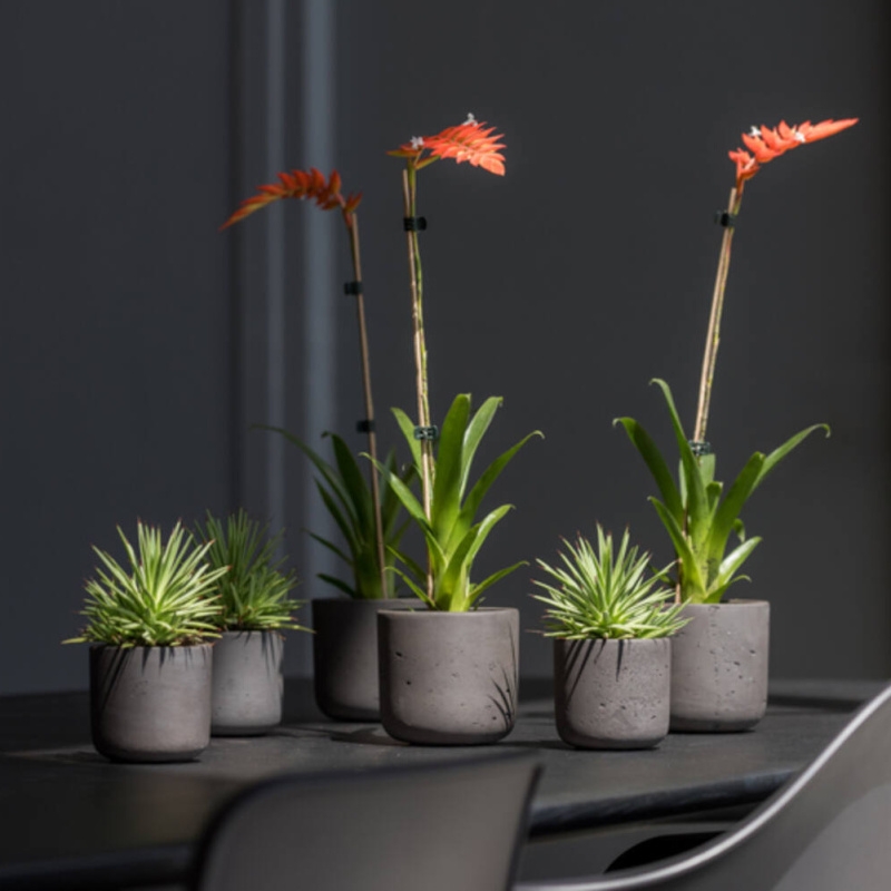 Obal na květináč kulatý CHARLIE XL fiberclay černý 32cm-0