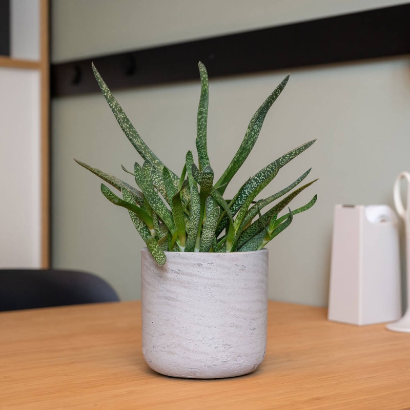 Obal na květináč kulatý CHARLIE XL fiberclay sv.šedý 32cm-0