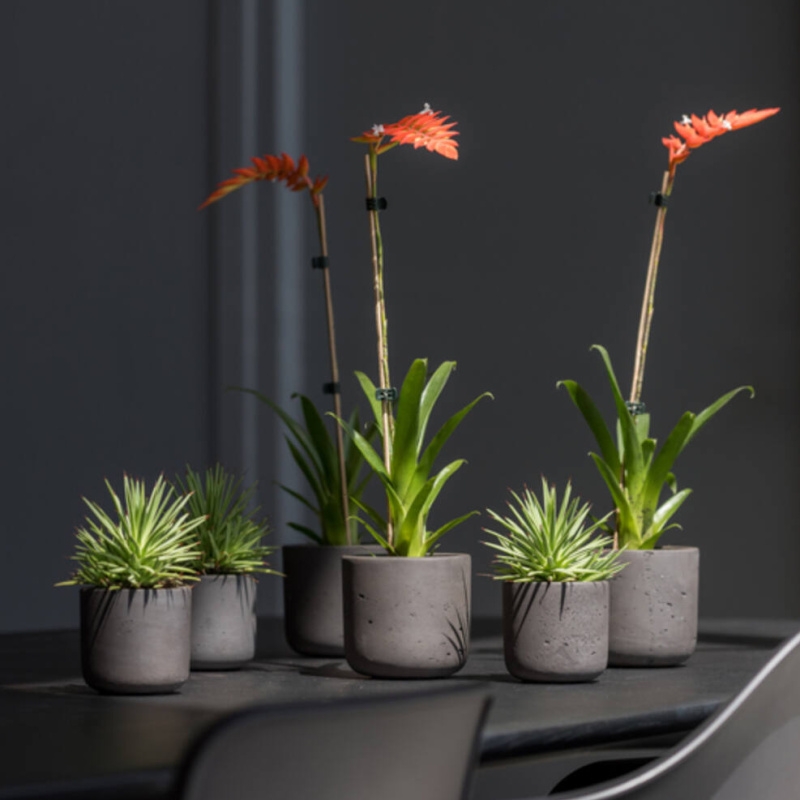 Obal na květináč kulatý CHARLIE XS fiberclay černý 12cm-0