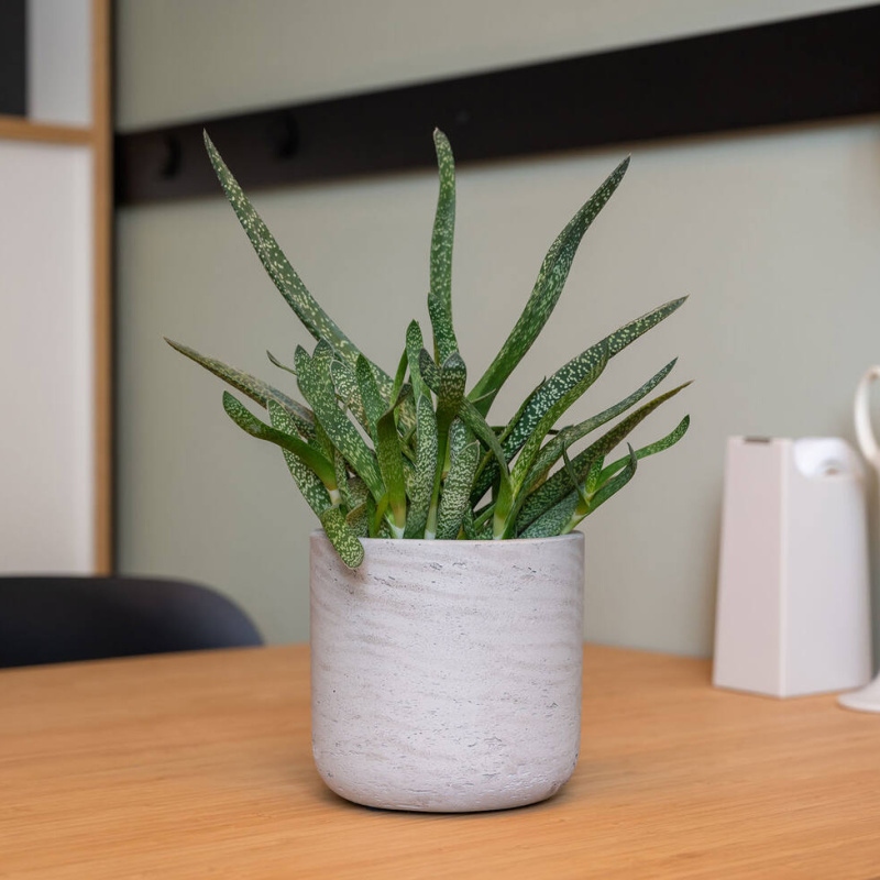 Obal na květináč kulatý CHARLIE XS fiberclay sv.šedý 12cm-0