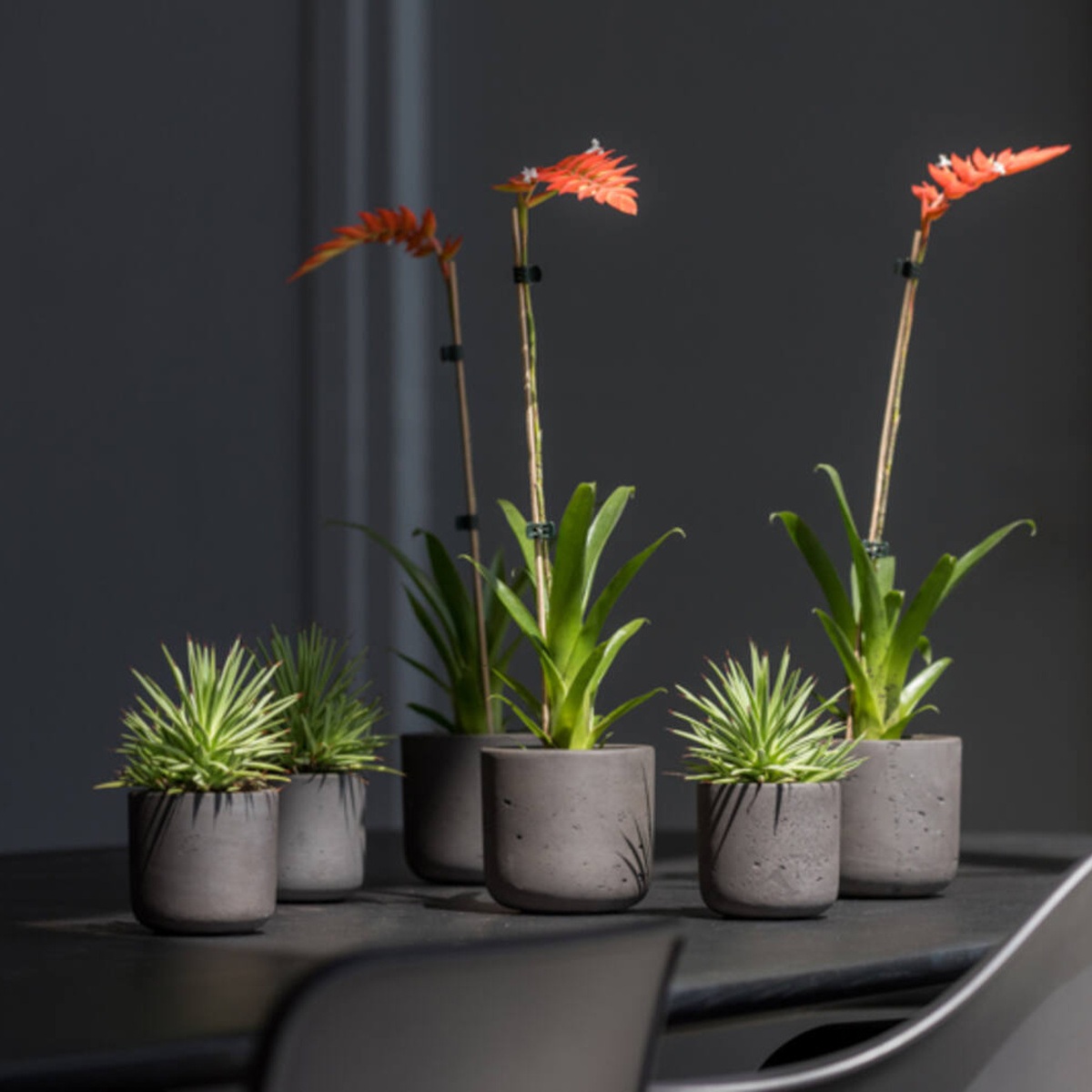 Obal na květináč kulatý CHARLIE XXS fiberclay černý 10,6cm-1