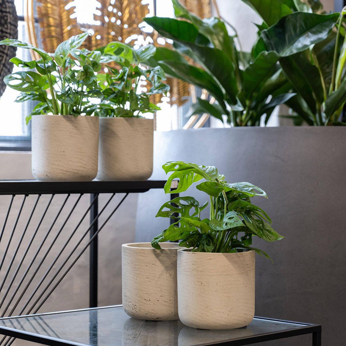 Obal na květináč kulatý CHARLIE XXS fiberclay sv.šedý 10,6cm-1