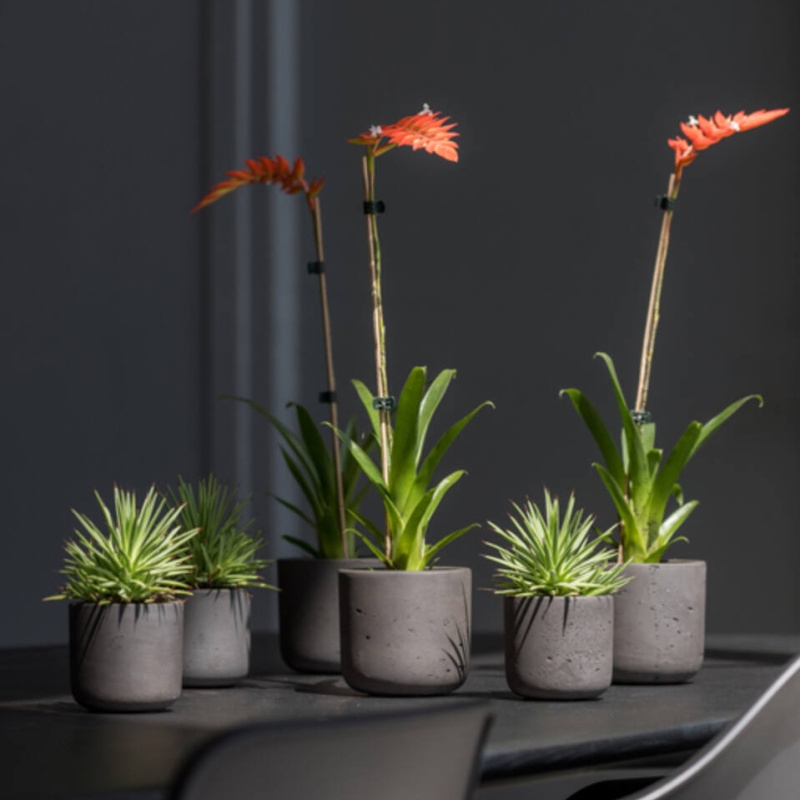 Obal na květináč kulatý CHARLIE XXXS fiberclay černý 8,5cm-0