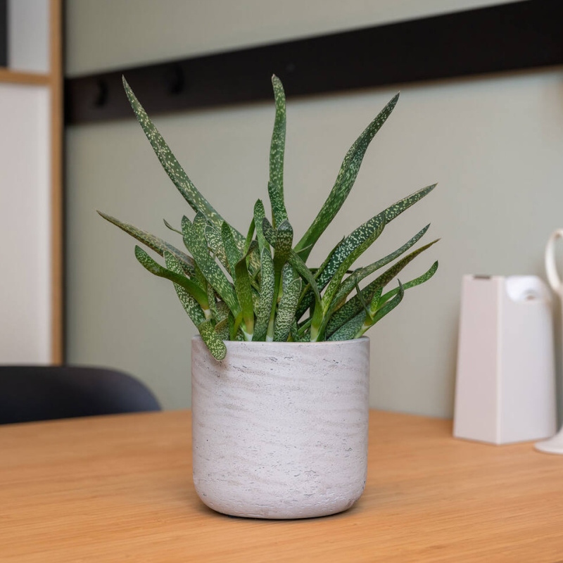 Obal na květináč kulatý CHARLIE XXXS fiberclay sv.šedý 8,5cm-0