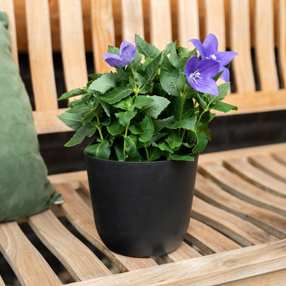 Obal na květináč kulatý PALERMO plastový černý 35cm-0