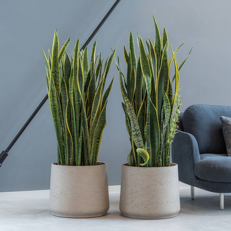 Obal na květináč kulatý PATT M fiberclay sv.šedý 16,5cm-0