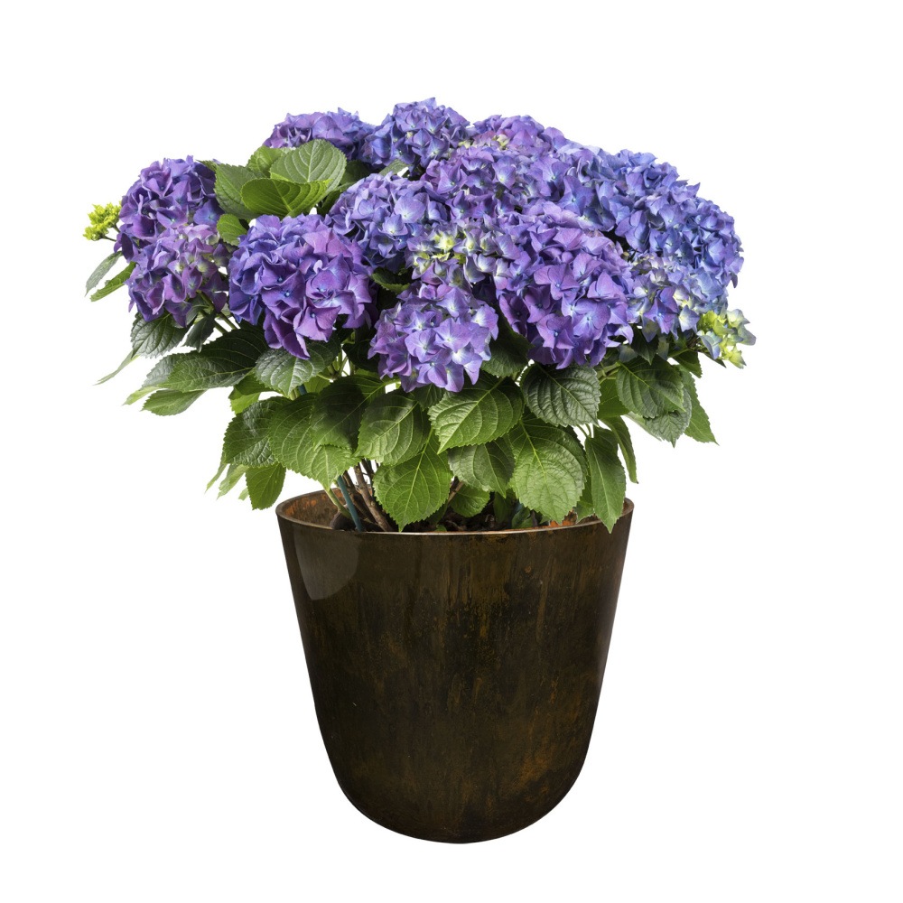 Obal na květináč kulatý plastový PALERMO hnědý 23cm-0