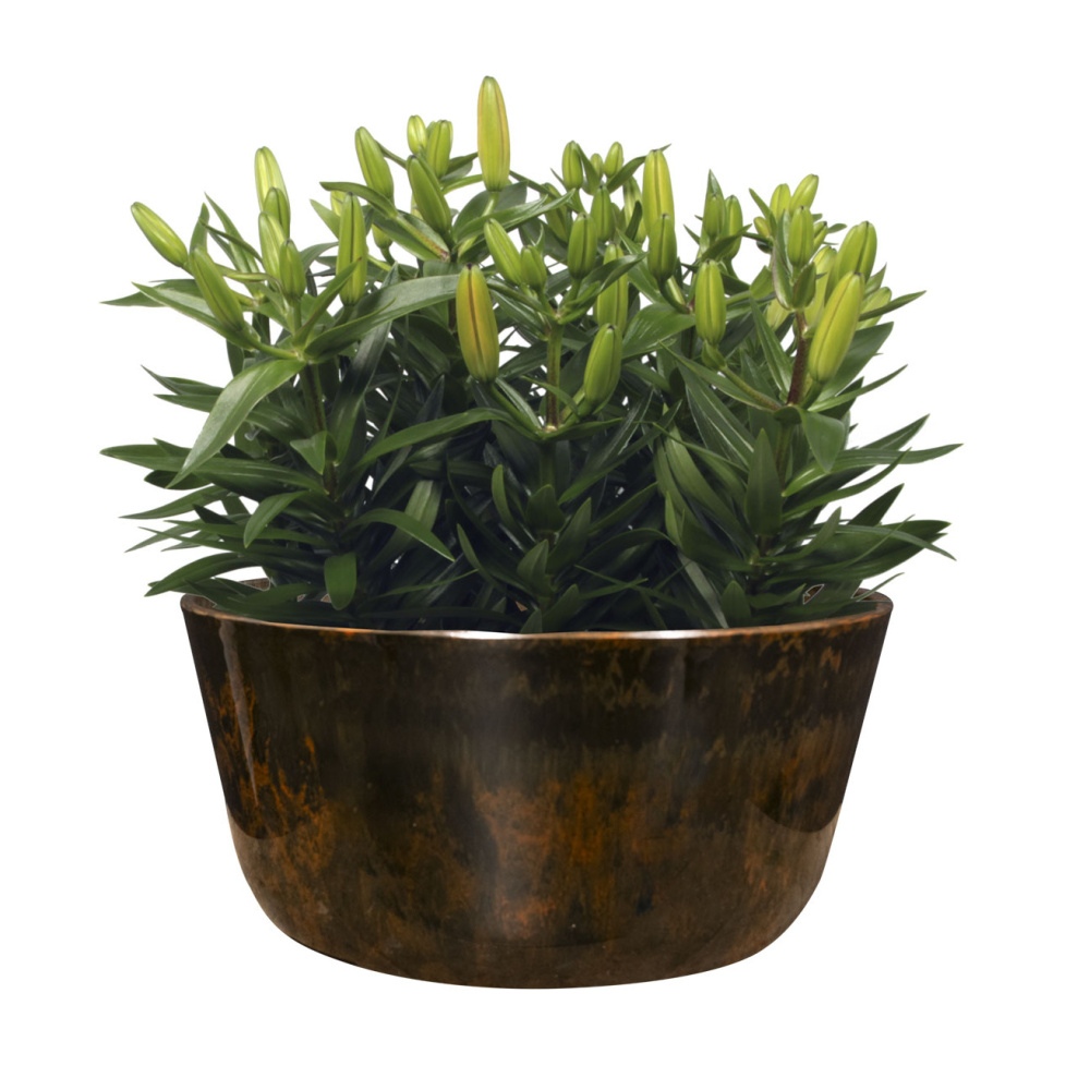 Obal na květináč miska kulatá plastová PALERMO hnědá 27cm-0