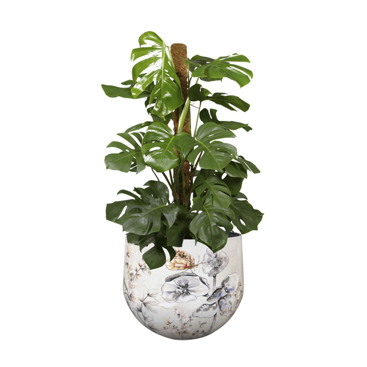 Obal na květináč MOONLIGHT MEADOW kovový bílý 7cm-0