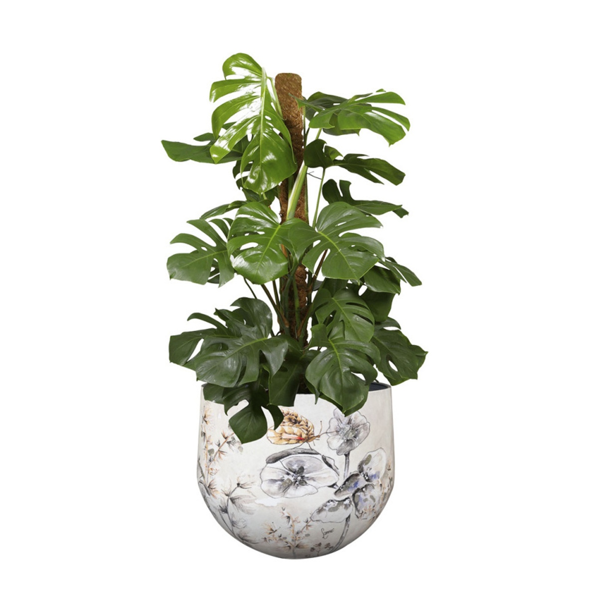 Obal na květináč MOONLIGHT MEADOW kovový bílý 7cm-0