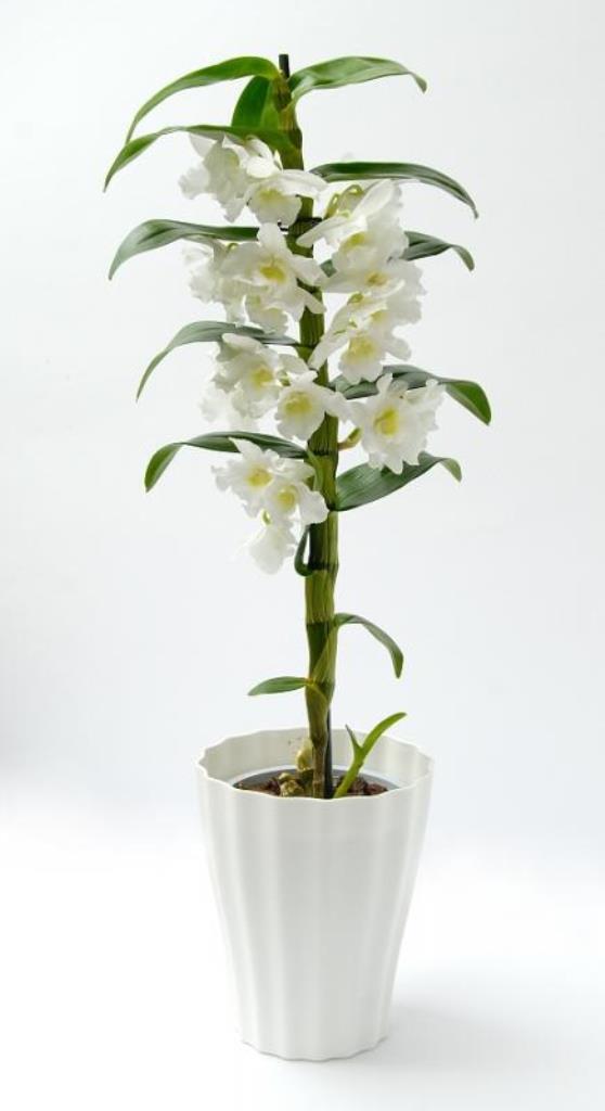 Obal na květináč orchidej OLA plast 13cm bílá-1