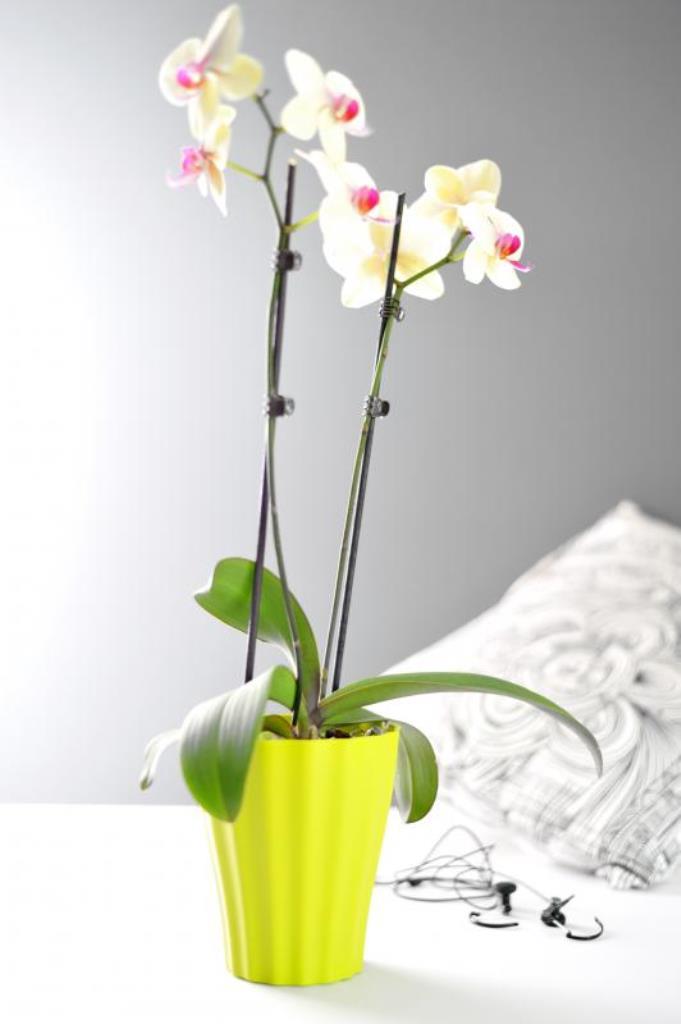 Obal na květináč orchidej OLA plast 13cm světle zelená-0