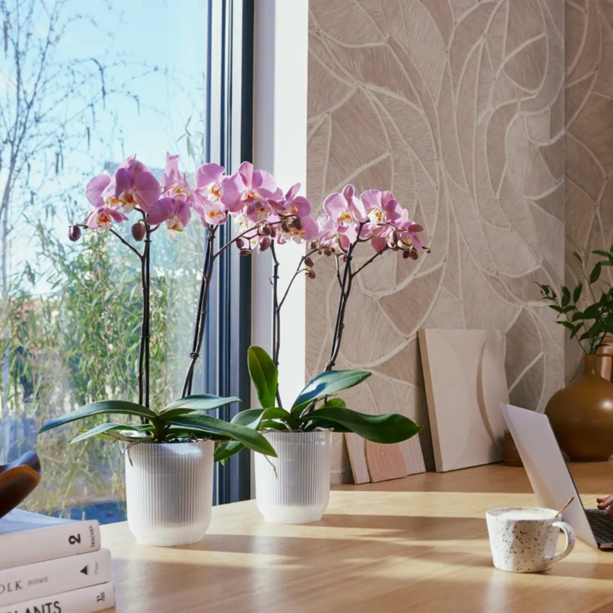 Obal na orchidej ELHO Vibes Fold Orchid Hight transparentní 13,2cm-0