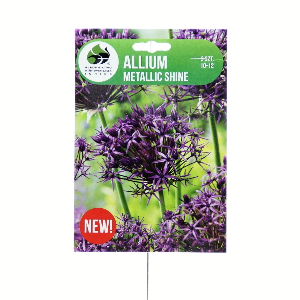 Okrasný česnek - Okrasný česnek 'Metallic Shine' 3ks
