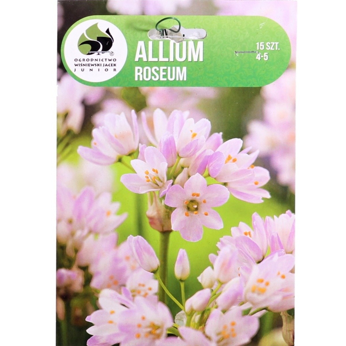 Okrasný česnek - Okrasný česnek růžový 15ks