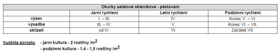 Okurka hadovka BABY F1 mlsné jazýčky-0