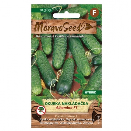 Osivo zeleniny - Okurka nakládačka ALHAMBRA F1 hruboostná (MS)