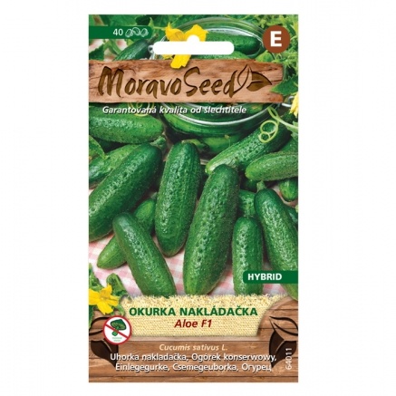 Osivo zeleniny - Okurka nakládačka ALOE F1 hruboostná (MS)