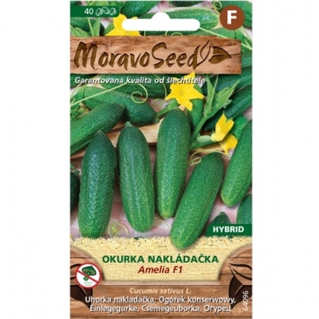 Osivo zeleniny - Okurka nakladačka AMELIA F1 jemnoostná (MS)
