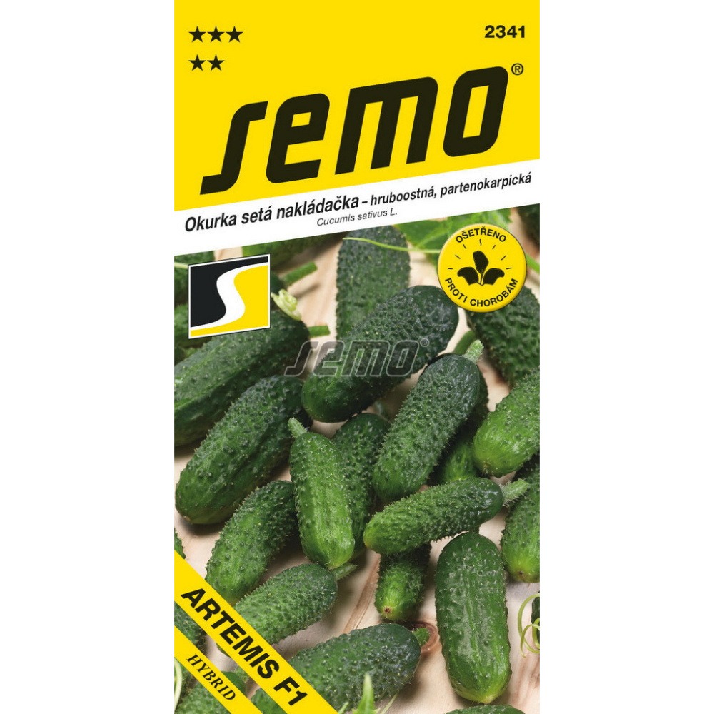 Osivo zeleniny - Okurka nakládačka Artemis F1 hruboostná, partenokarpická