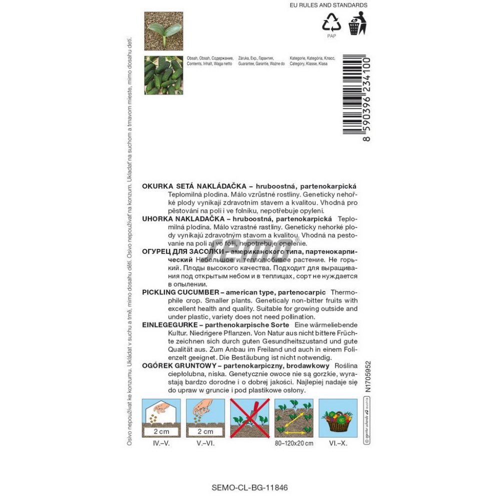 Okurka nakládačka Artemis F1 hruboostná, partenokarpická-0