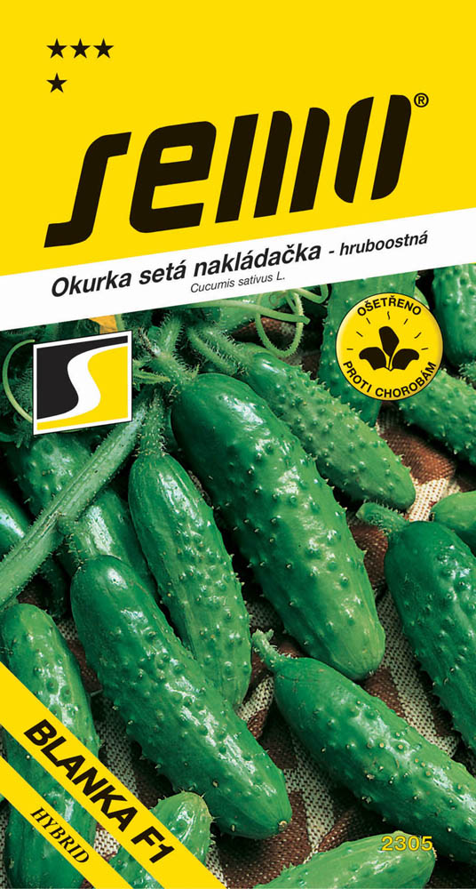 Osivo zeleniny - Okurka nakládačka Blanka F1 hr