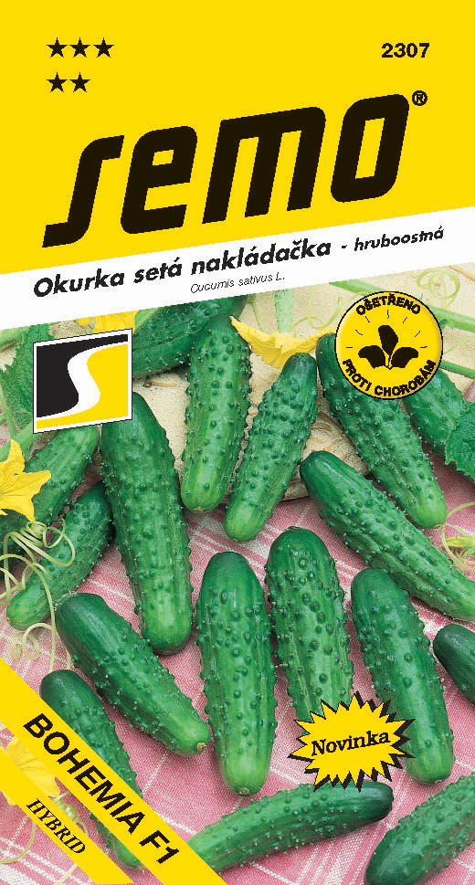 Osivo zeleniny - Okurka nakládačka Bohemia F1 hr