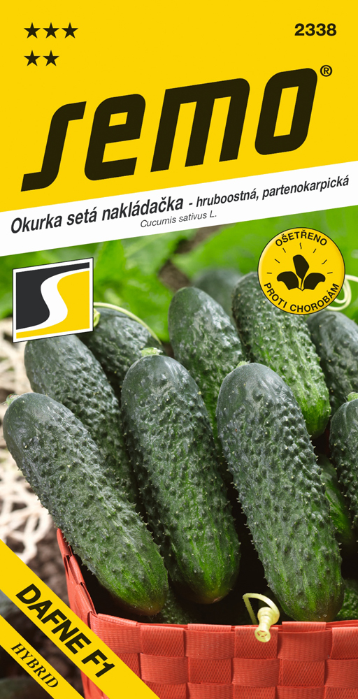 Osivo zeleniny - Okurka nakladačka Dafne F1 hruboostná partenok.