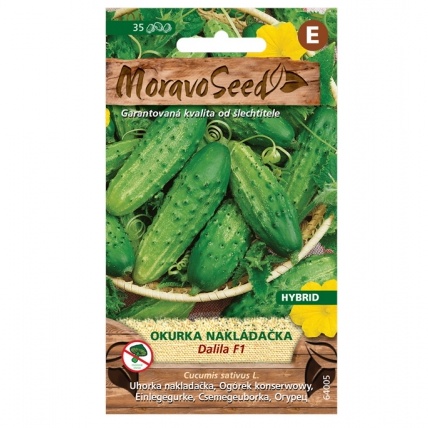 Osivo zeleniny - Okurka nakládačka DALILA F1 hruboostná (MS)