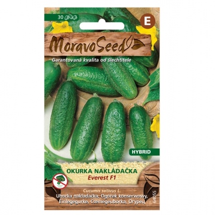 Osivo zeleniny - Okurka nakládačka EVEREST F1 jemnoostná (MS)