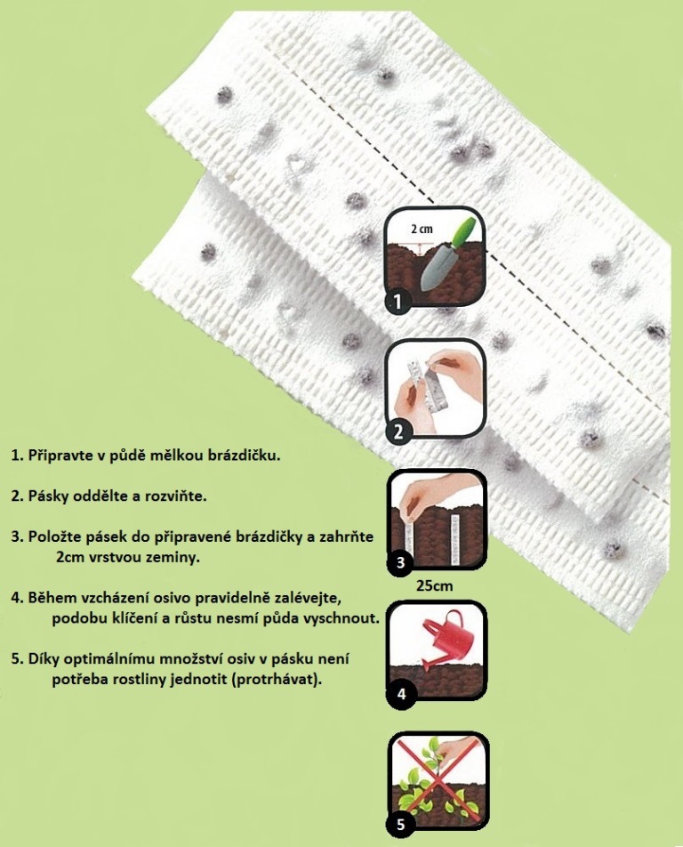 Okurka nakládačka, kopr výsevní pásek-0