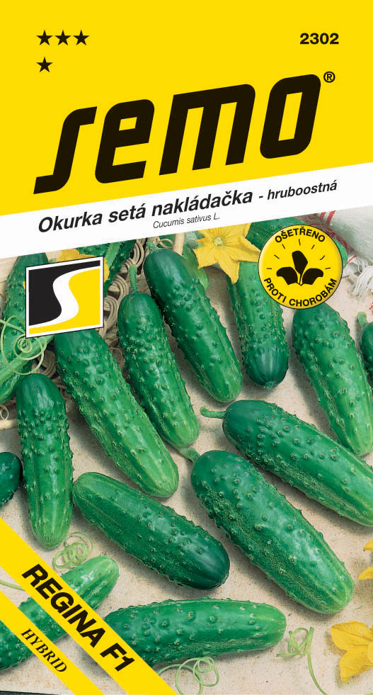 Osivo zeleniny - Okurka nakládačka Regina F1 hr