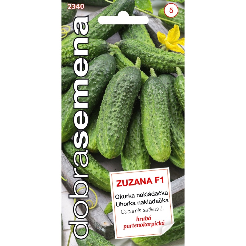 Osivo zeleniny - Okurka nakládačka ZUZANA F1 (DS)