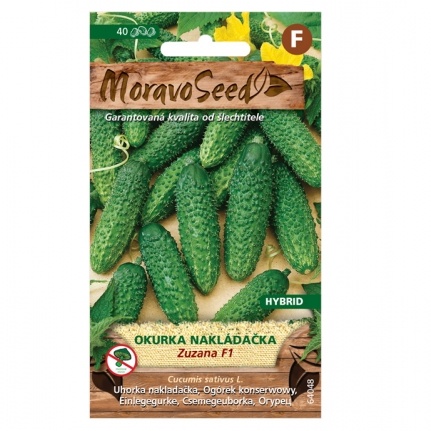 Osivo zeleniny - Okurka nakládačka ZUZANA F1 hruboostná (MS)