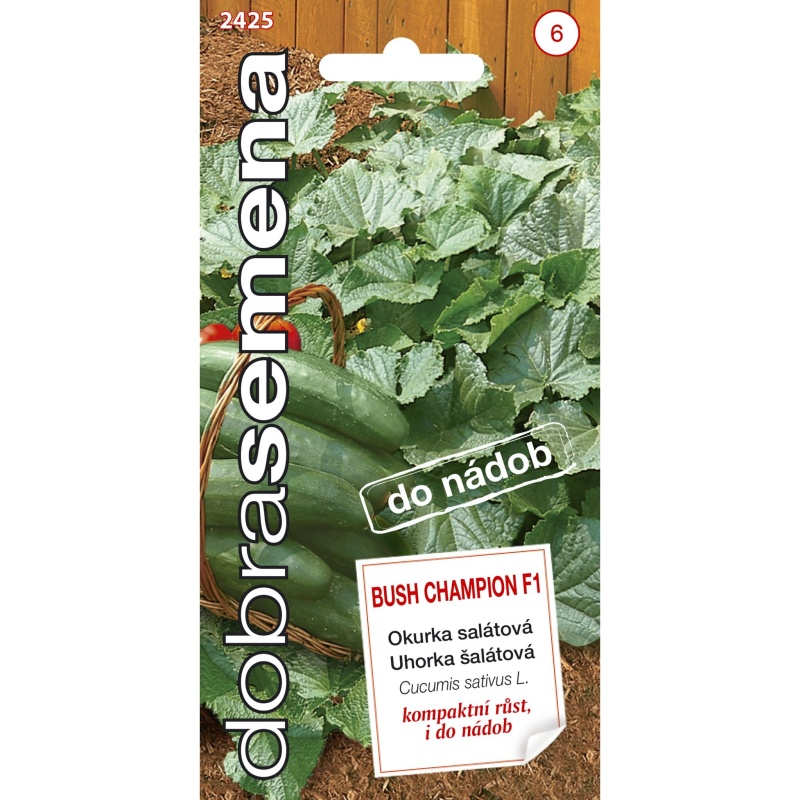 Osivo zeleniny - Okurka salátová BUSH CHAMPION F1 (DS)