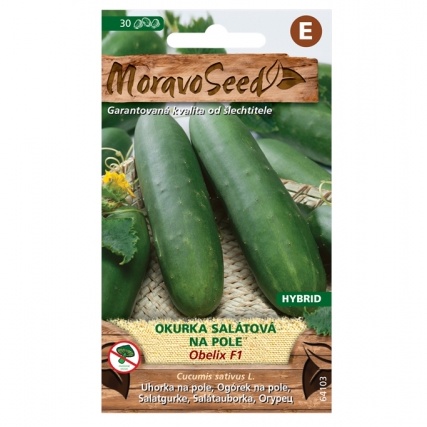 Osivo zeleniny - Okurka salátová OBELIX F1 polní (MS)