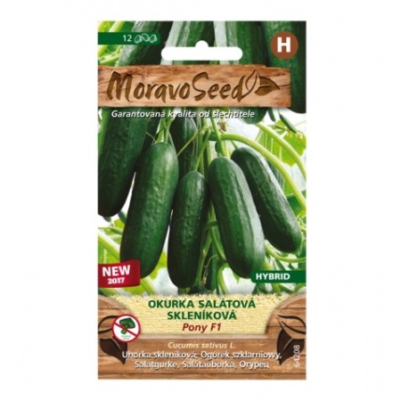 Osivo zeleniny - Okurka salátová PONY F1 skleníková (MS)