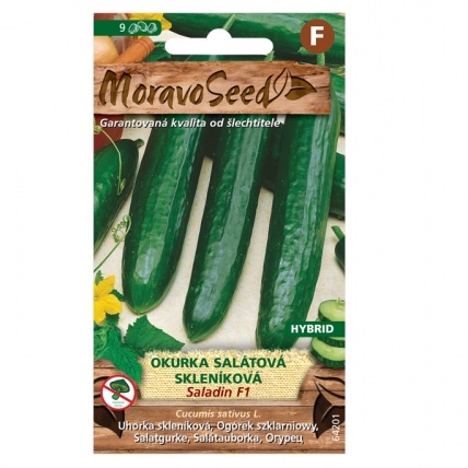 Osivo zeleniny - Okurka salátová SALADIN F1 skleníková (MS)