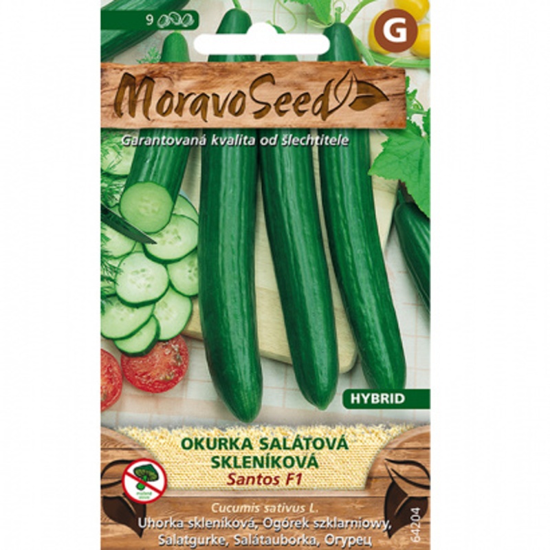 Osivo zeleniny - Okurka salátová SANTOS F1 skleníková, partenokarpická (MS)