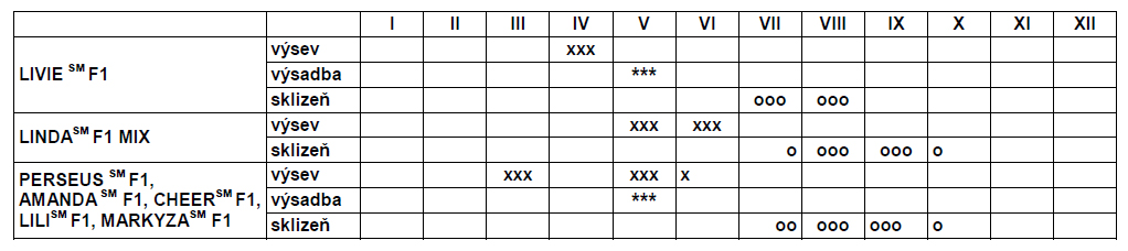 Okurka salátovka Markyza F1 foliák pole-0
