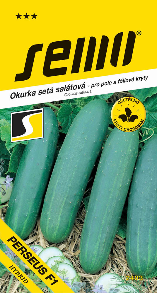 Osivo zeleniny - Okurka salátovka Perseus F1 foliák pole